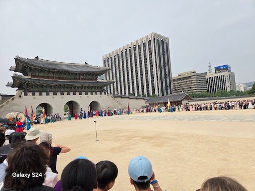 여행후기 사진
